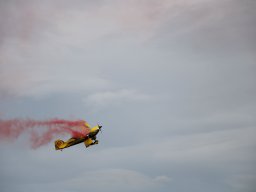 rodenberg2025 73